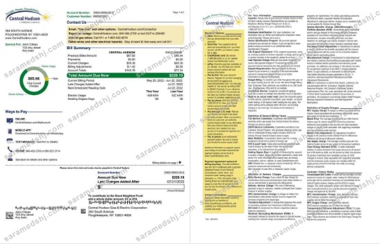USA New York Central Hudson A fortis company utility bill, Word and PDF template, 3 pages 1 2